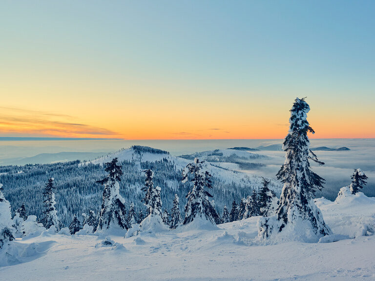 Eine winterliche Arberlandschaft mit Blick auf den Bayerischen Wald