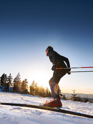 Ein Langläufer im Bayerischen Wald bewegt sich schnell fort.