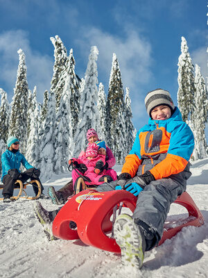 Mehrere Kinder haben eine tolle Zeit mit ihren Schlitten im Bayerischen Wald.