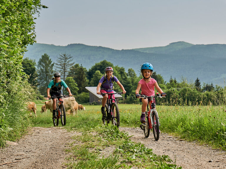 Eine Familie ist gemeinsam mit ihren Fahrrädern auf einer Tour rund um Bodenmais unterwegs.