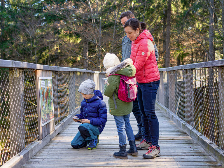 Eine glückliche Familie hält auf dem Baumwipfelpfad im Bayerischen Wald an, während ihr Kind ein Infoschild liest.